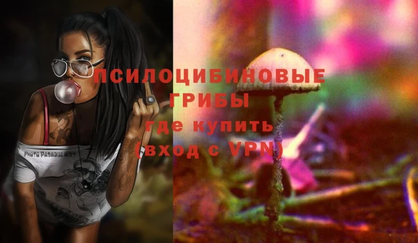 винт Алексеевка