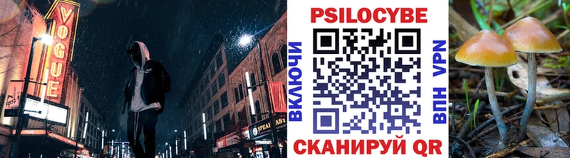 Галлюциногенные грибы Psilocybe  наркотики  Усинск 